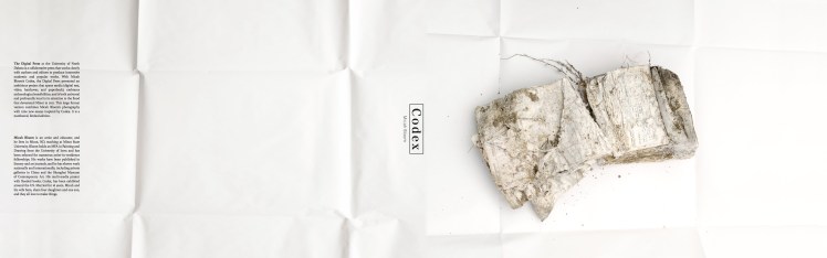 Codex Final REAL COVER